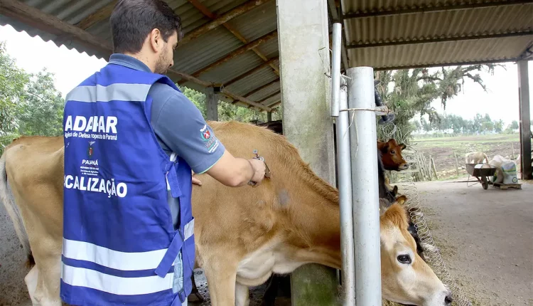 adapar veterinários