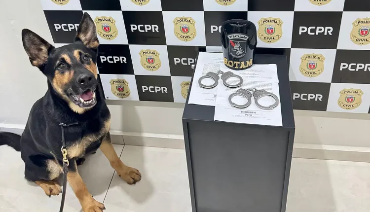 k9 pcpr