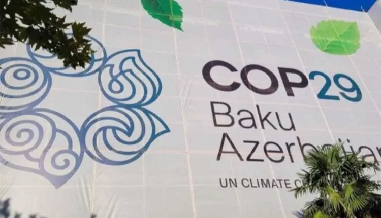 cop29 baku