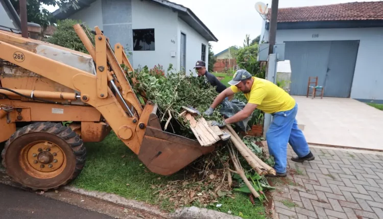 dengue gralha azul