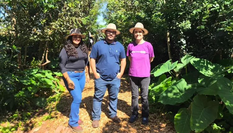 projetos itaipu show rural