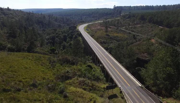 pontes e viadutos