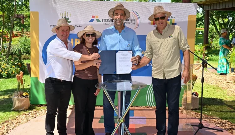 itaipu plantas medicinais