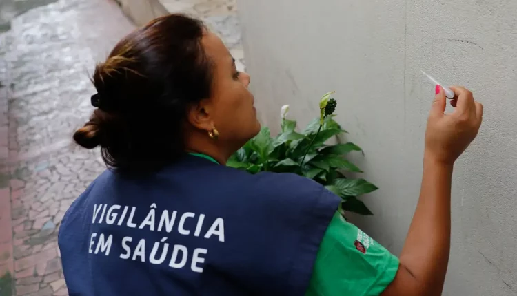 dengue vigilância em saúde