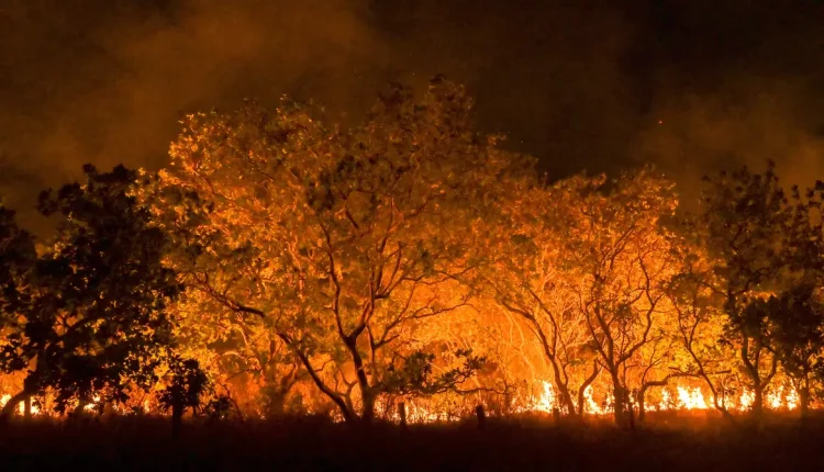 desastres climáticos