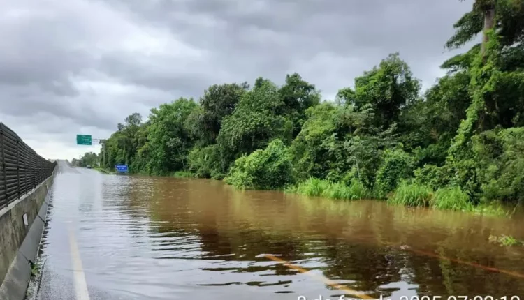 estrada litoral