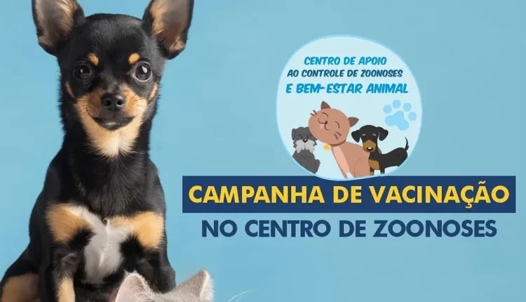 vacinação cães e gatos