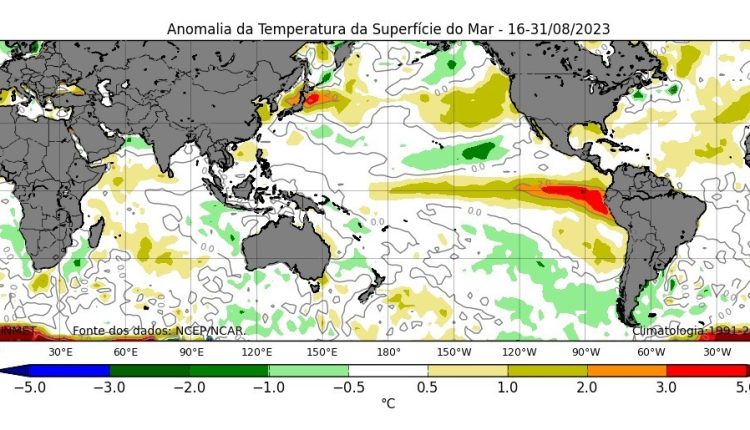 el niño