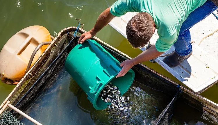 peixe itaipu