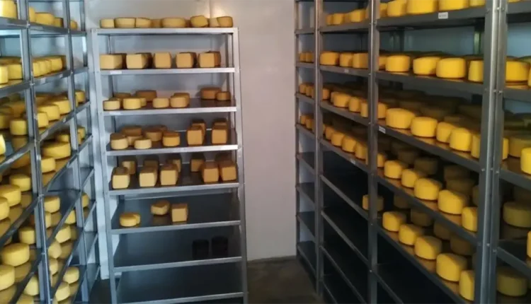 queijos expobel
